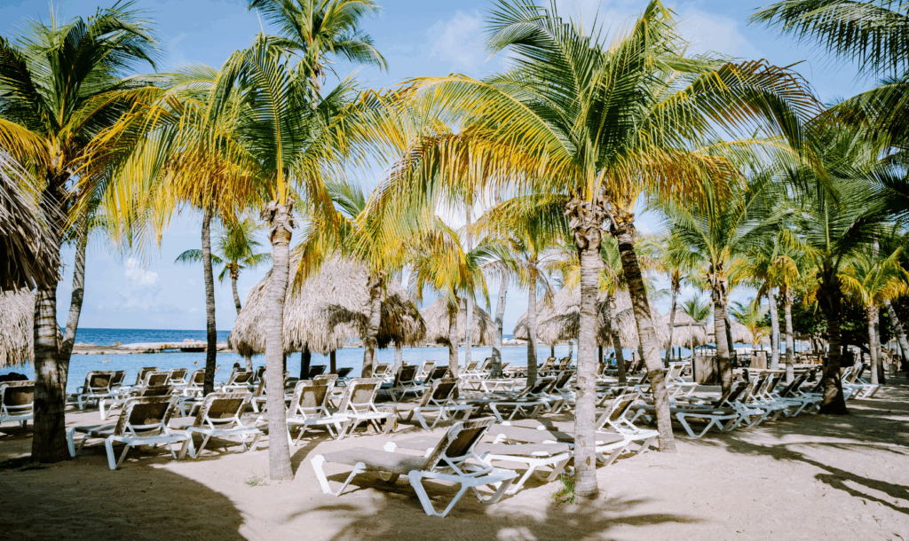 Strand van Zanzibar bij Jan Thiel Curaçao – populair strand met palmbomen en ligbedden vlak bij Villa Topzicht