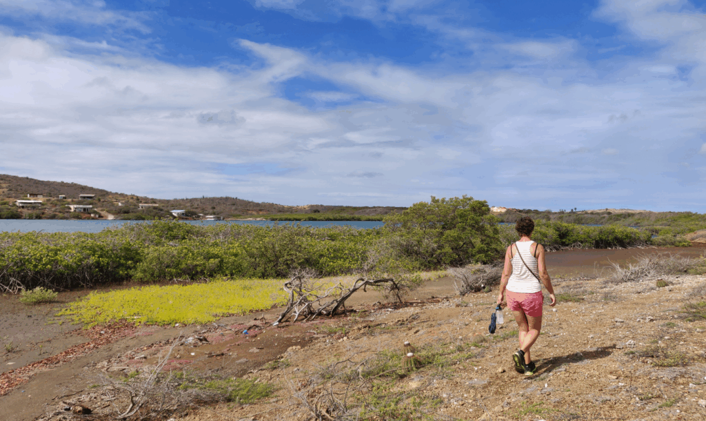 Wandeling door de zoutpannen van Jan Thiel Curaçao – rustige natuurervaring dichtbij Villa Topzicht