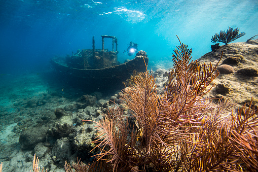 Snorkelen bij de gezonken tugboat op Tugboat Beach Curaçao – populair onderwateravontuur